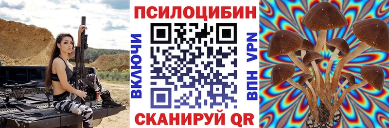 купить закладку  блэк спрут онион  Псилоцибиновые грибы MAGIC MUSHROOMS  Петровск-Забайкальский 